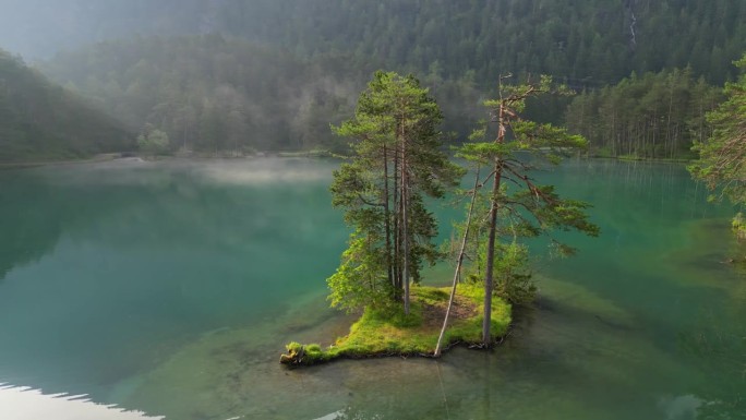 高山湖泊中有树木的小岛。奥地利的高山自然。美丽的湖和晨雾在山上。空中拍摄