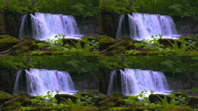 青森县武大和八幡台国立公园的秋泷瀑布/御浪溪