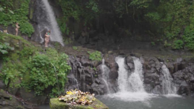 迦南沙里每日供品由巴厘岛的印度教徒与塔曼沙里瀑布和自然池为背景