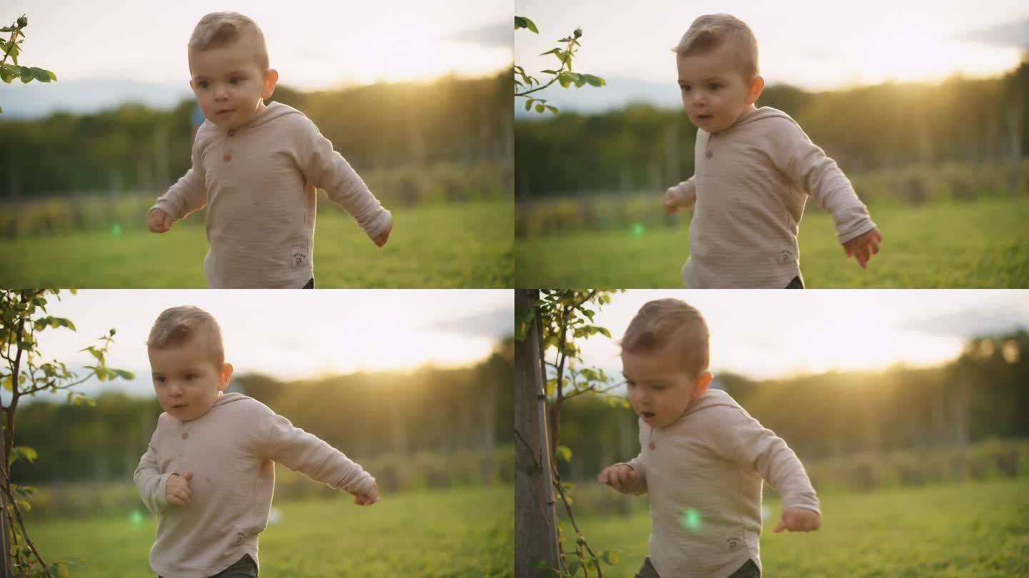 慢镜头:小男孩走在草地上。15个月大的幼儿