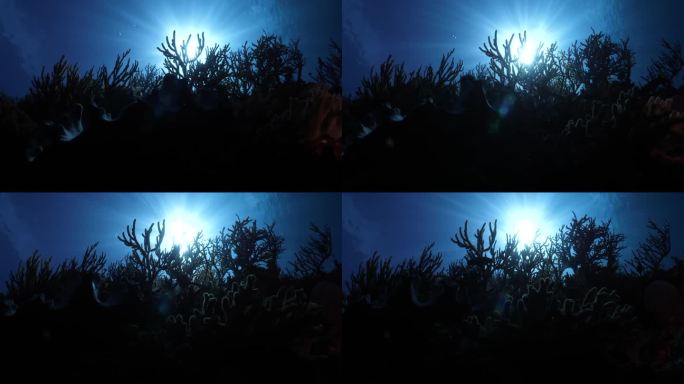 水下灯光闪烁的背景