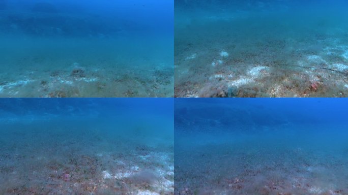 深海——海底的磷虾云