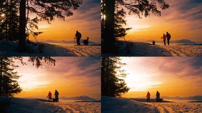 黄昏时分，一对老年夫妇在雪山上徒步旅行，他们的狗陪伴着他们。