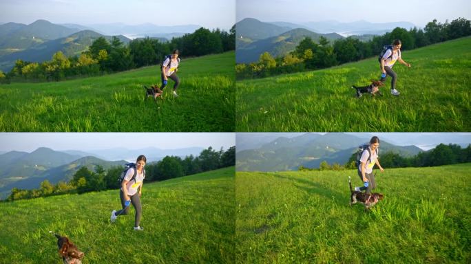 快乐的年轻女背包客与狗在草木茂盛的斯洛文尼亚山上奔跑