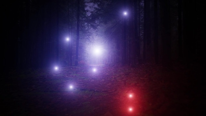 神秘的蓝红光在雾蒙蒙的树林里闪烁。