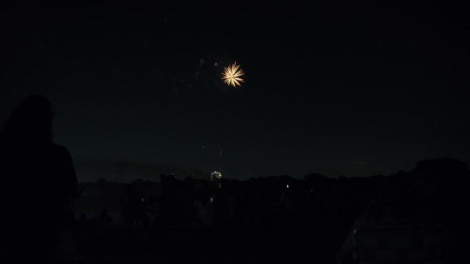 一群人在夜空中观看烟花的剪影，适合7月4日或新年庆祝活动