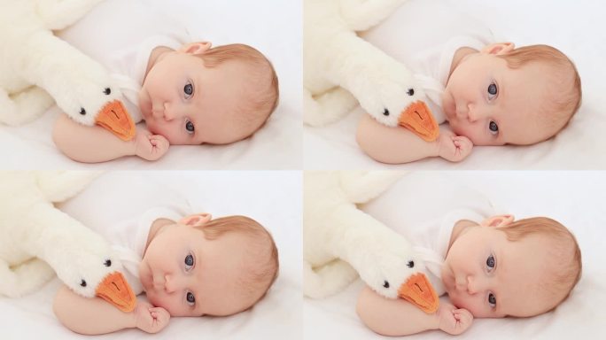 穿着白色紧身衣，蓝眼睛的新生婴儿躺在棉质床上，抱着一个毛绒鹅玩具，特写肖像，文字空间