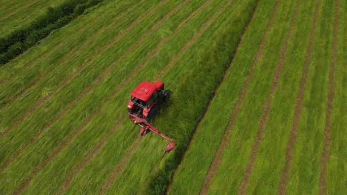 拖拉机在鲜绿的草皮牧场上割草，割下的草会被晒干，变成牲畜饲料