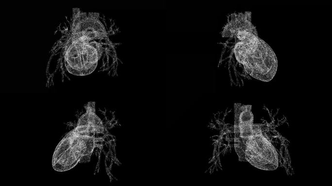 3D人类心脏在黑色bg上旋转。心血管系统。物体溶解了闪烁的微粒。科学的医学理念。用于标题，文本，演示