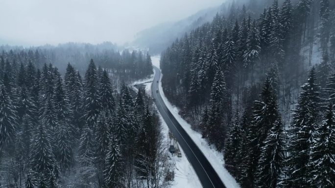 航拍的雪景，沿着斯洛文尼亚的高速公路被雪覆盖的树木