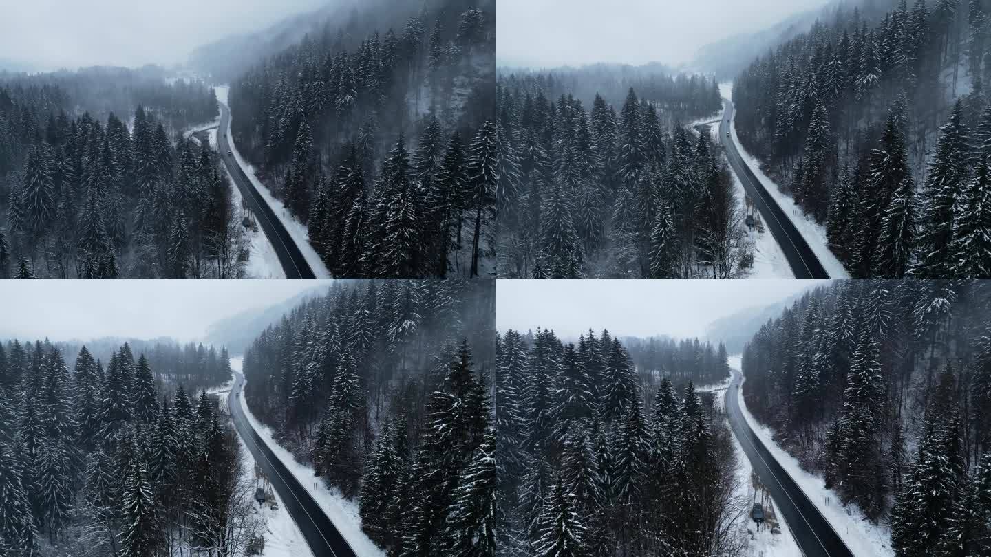 航拍的雪景，沿着斯洛文尼亚的高速公路被雪覆盖的树木