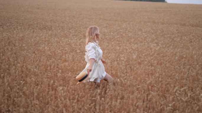 自由的女孩在公园的麦田里快乐地奔跑。农业儿童梦想概念。女农民双手叉腰跑过麦田。快乐的自由女孩在公园农