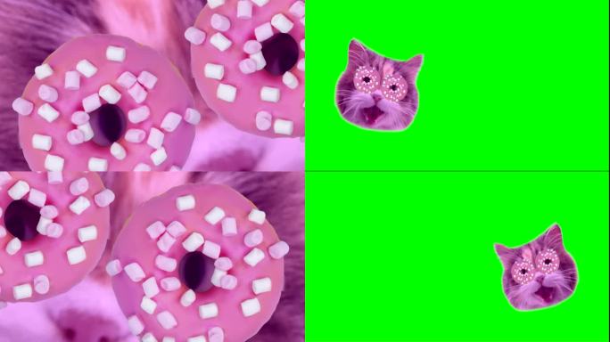 有趣的抽象动画与猫的头与甜甜圈在绿色屏幕色度键背景