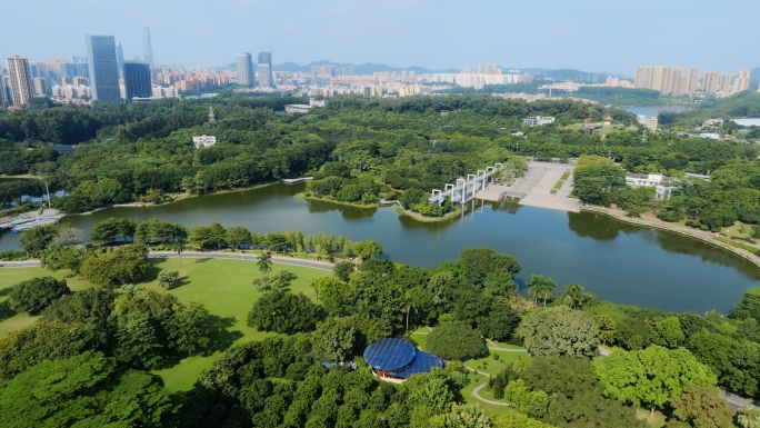 【4K】东莞植物园 度假