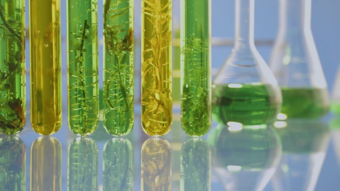 藻类燃料生物燃料工业实验室正在研究化石藻类燃料或藻类生物燃料的替代品。零碳排放概念。