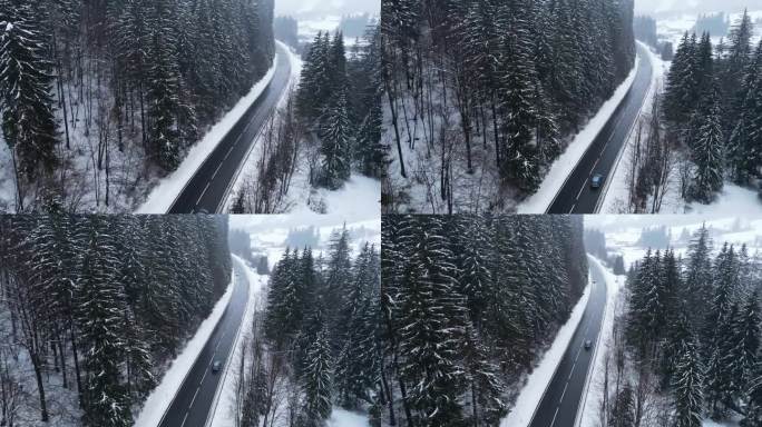 航拍的车辆沿着斯洛文尼亚被雪覆盖的树木在柏油路上行驶