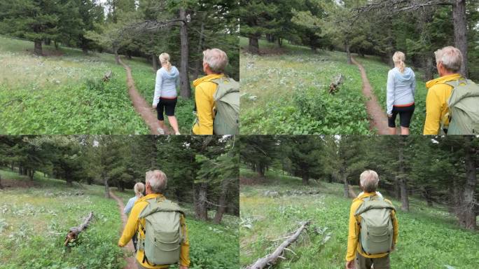 一对徒步旅行的老年夫妇从小路上探索高山草甸