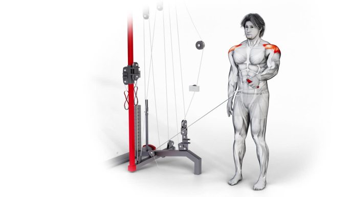 一个人物锻炼肩膀电缆横向提升肌肉的3d插图