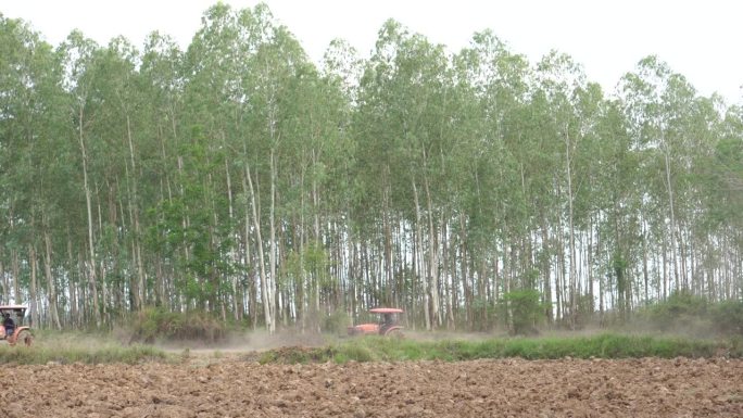 农民犁地种水稻。农民犁地种水稻