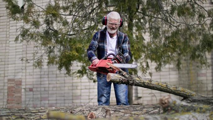 一个头发花白、留着胡子的老伐木工人戴着耳机，拿着电锯在云杉的背景上锯着一棵木柴