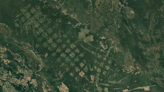 玻利维亚的森林砍伐:从太空延时拍摄(1985-2020)