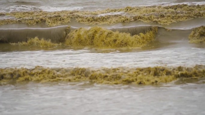 大海里的大浪打在沙滩上，海水浑浊。