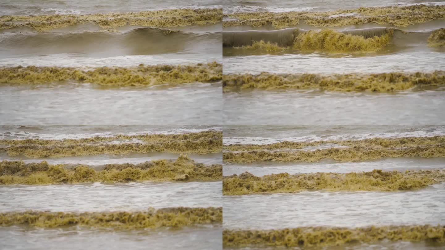 大海里的大浪打在沙滩上，海水浑浊。