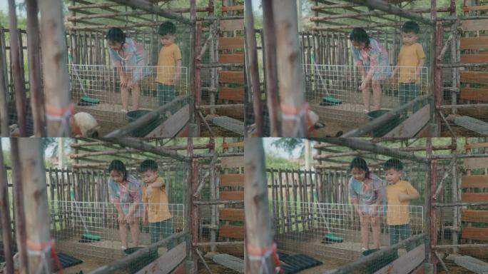 珍惜可持续的幸福:亚洲孩子在动物农场发现快乐。