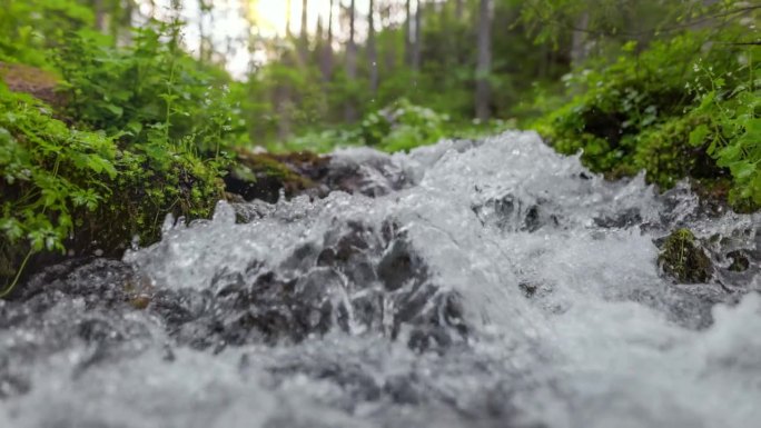 清澈的水在小山河在森林。绿色森林里湍急的小溪伴着小瀑布。慢镜头，稳定镜头