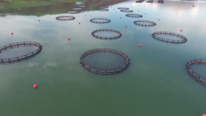 鱼养殖围网和工业养鱼在水中