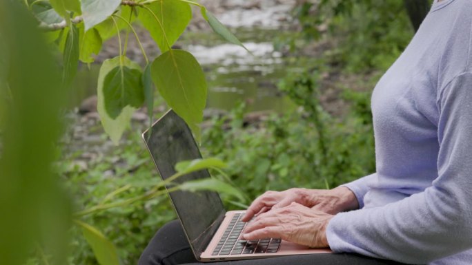 老年妇女在白杨林中使用笔记本电脑