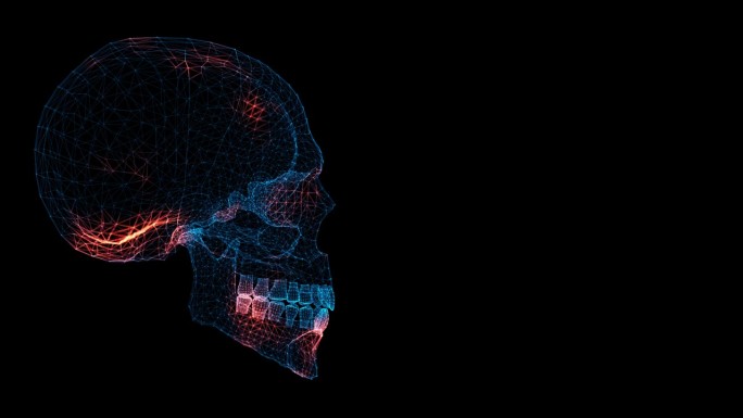 3D颅骨扫描。颅骨扫描接口。HUD头骨分析。【医学】解剖学概念。用于标题，文本，演示。3d动画60 