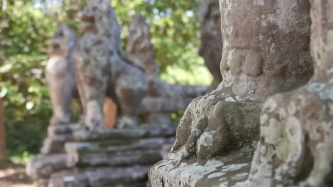 被植物包围的石像鬼-幻灯片和聚焦-从右到左