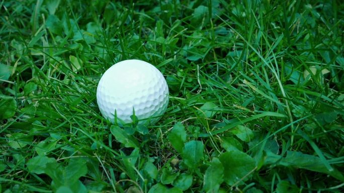 高尔夫球落在粗糙的室外球场