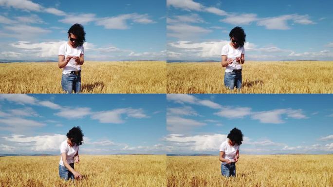 夏日金黄的麦田里，一位快乐的年轻女子手捧麦穗的慢动作