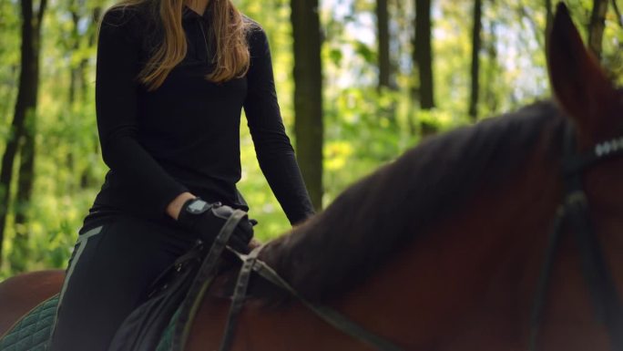年轻女子坐在马背上的肖像，动物在户外散步，经过相机离开。棕色纯种种马与自信的高加索骑手漫步在阳光明媚