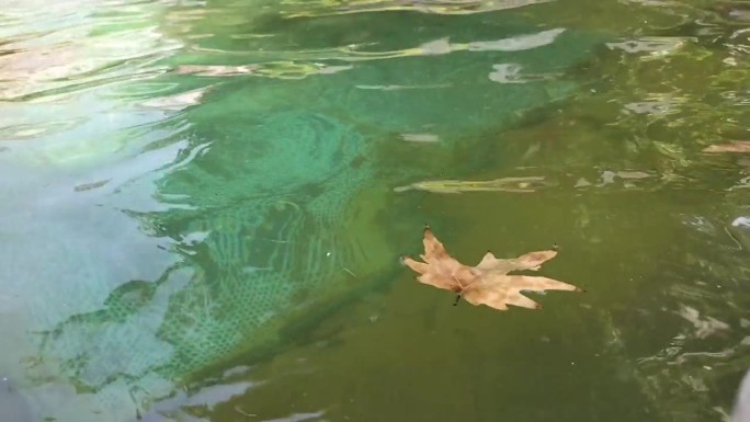 一片黄色的落叶漂浮在水面上。水可以是水池、喷泉、河流、湖泊。秋天的时间和抽象的反思关于时间的加速流动