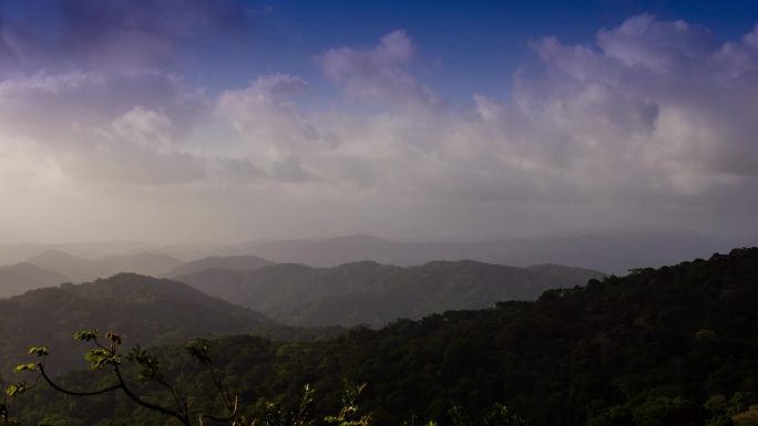 云雾森林，巴拿马云延时唯美大山自然美景