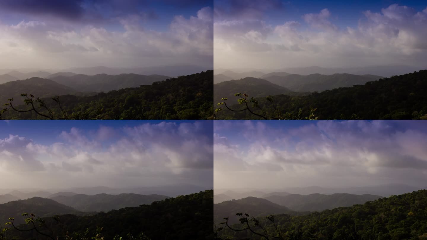 云雾森林，巴拿马云延时唯美大山自然美景