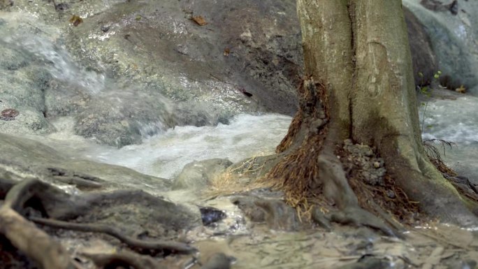瀑布自然景树河森林海氧吧瀑布溪流水