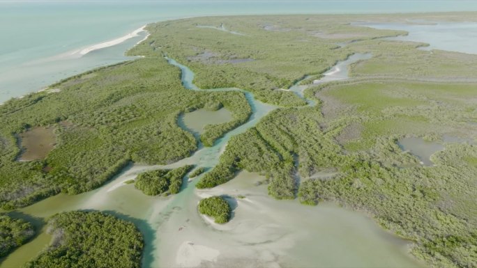 无人机俯瞰丛林与海洋、沙洲、河流交汇