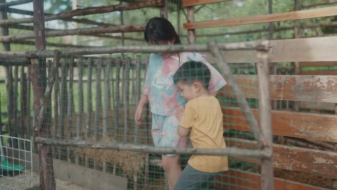 探索农场的奇迹:快乐的亚洲孩子兄弟姐妹拥抱自然和幸福。