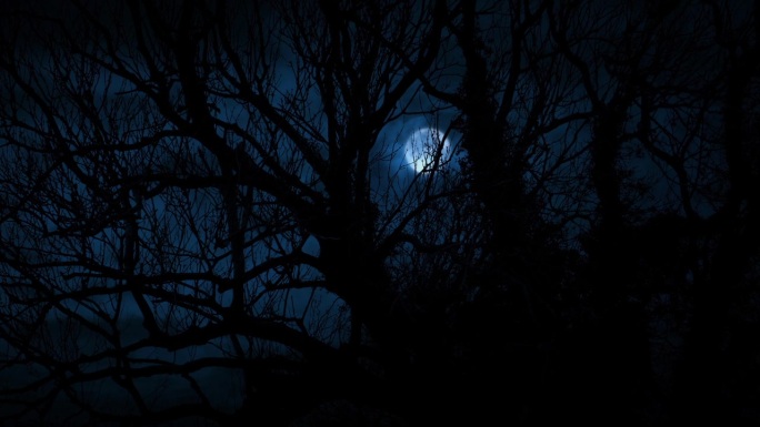 可怕的老树背后有闪电和月亮