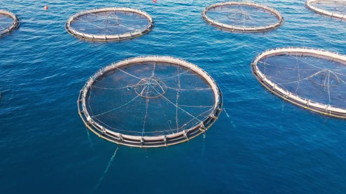 公海鲑鱼养殖场。鸟瞰图