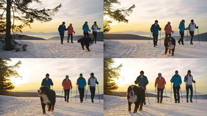 晚上，四个人带着他们的狗在雪地里徒步旅行