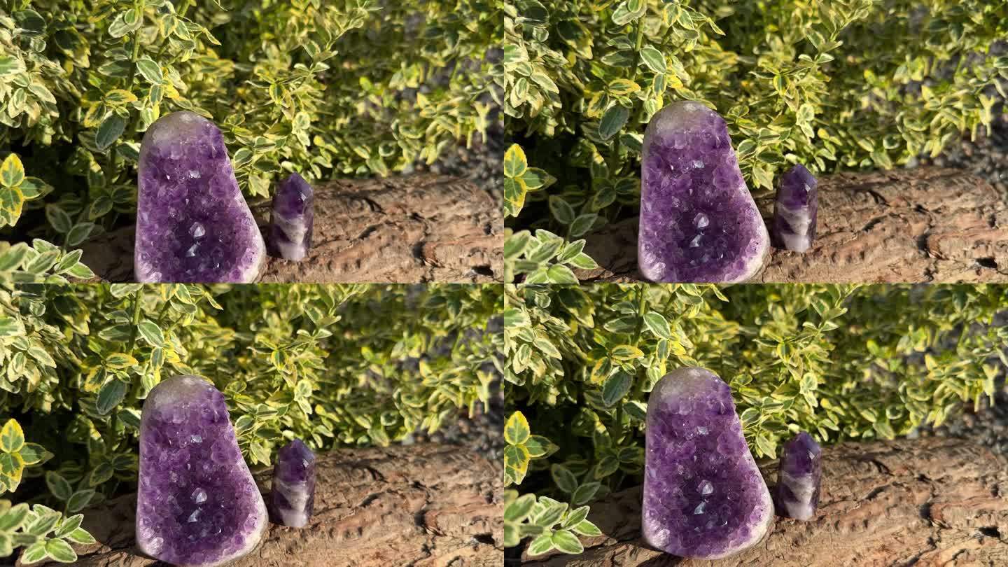 紫水晶晶洞和点状室外