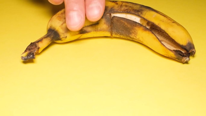 黄色背景上的烂香蕉。被宠坏的水果。