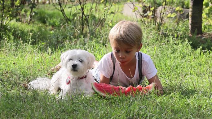 惊人的金发小孩，带着宠物狗的男孩，在花园里吃西瓜，夏天