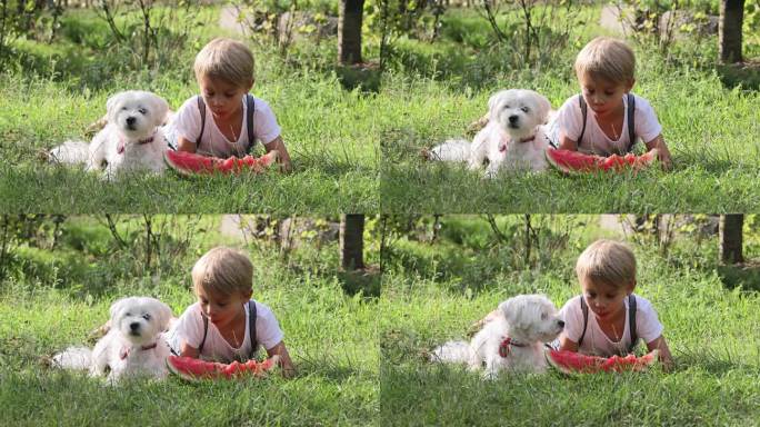 惊人的金发小孩，带着宠物狗的男孩，在花园里吃西瓜，夏天