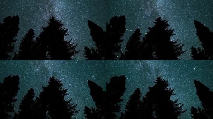 红杉国家公园，银河系和英仙座流星雨在北天空在树木Sierra内华达州山脉美国加利福尼亚州